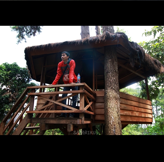 Santai di Rumah Pohon Tahura