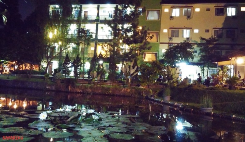 hotel lotus