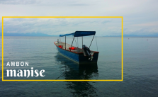 Cover Ambon Manise Safariku